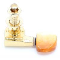 Takamine MECANIQUE FOLK GAUCHE GOLD.BOUT ECAI MFG158GEC - Vue 4